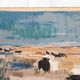 Printed wall tapestry, Bulls in Camargue, Robert Debiève, France