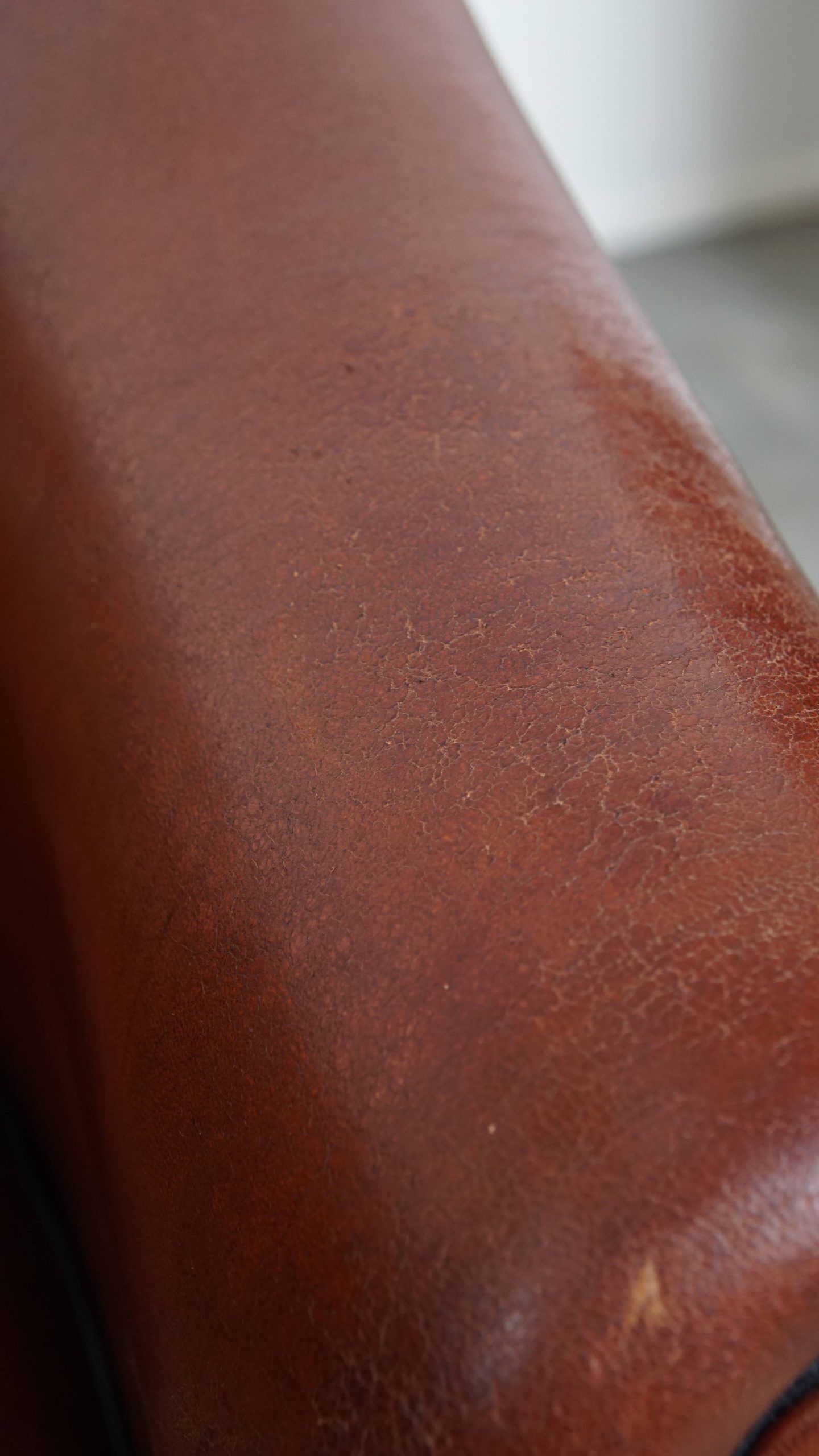 Sheepskin club armchair in a warm deep colour finished with black piping