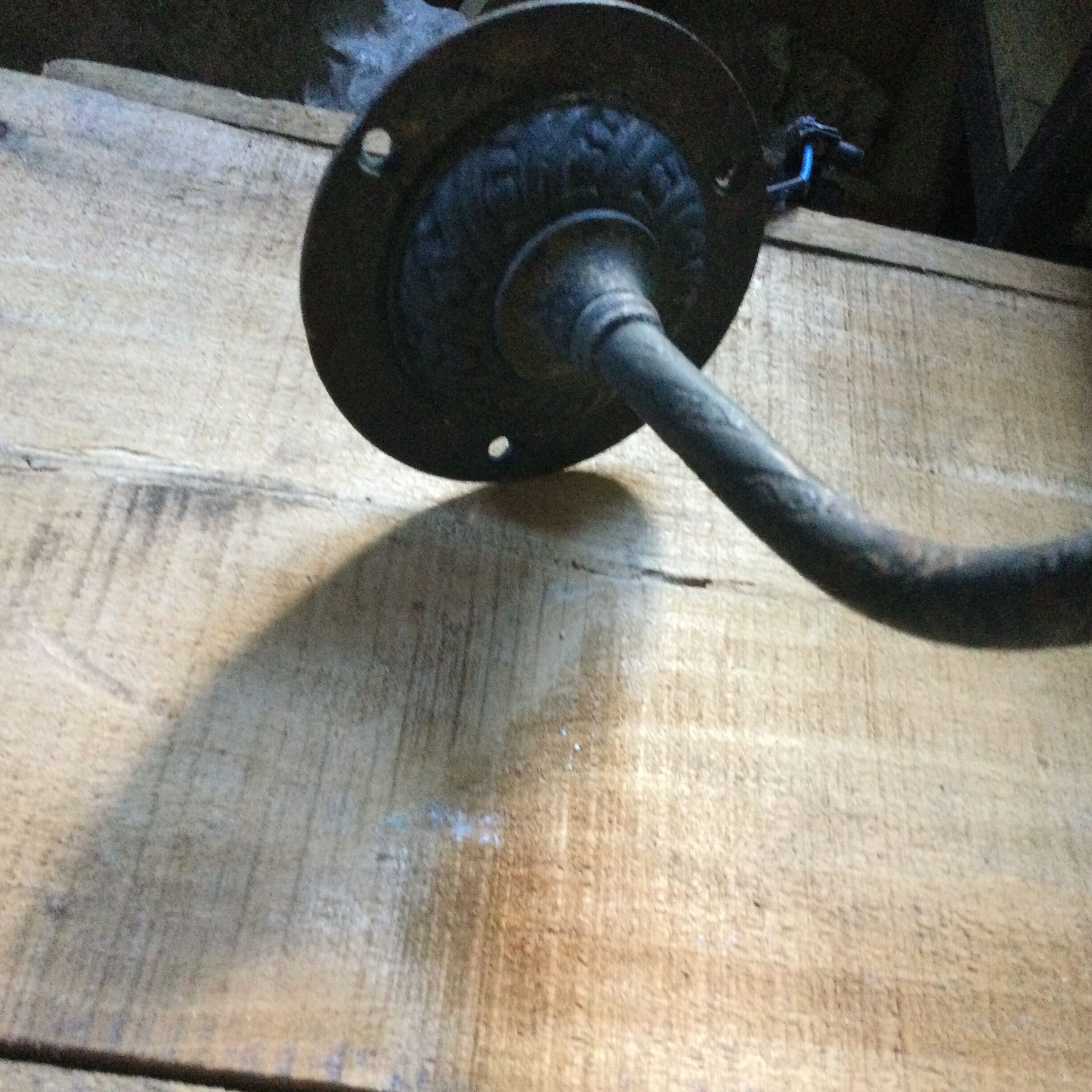 Antique wall lamp and tulip