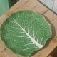Vintage cabbage slipware plate
