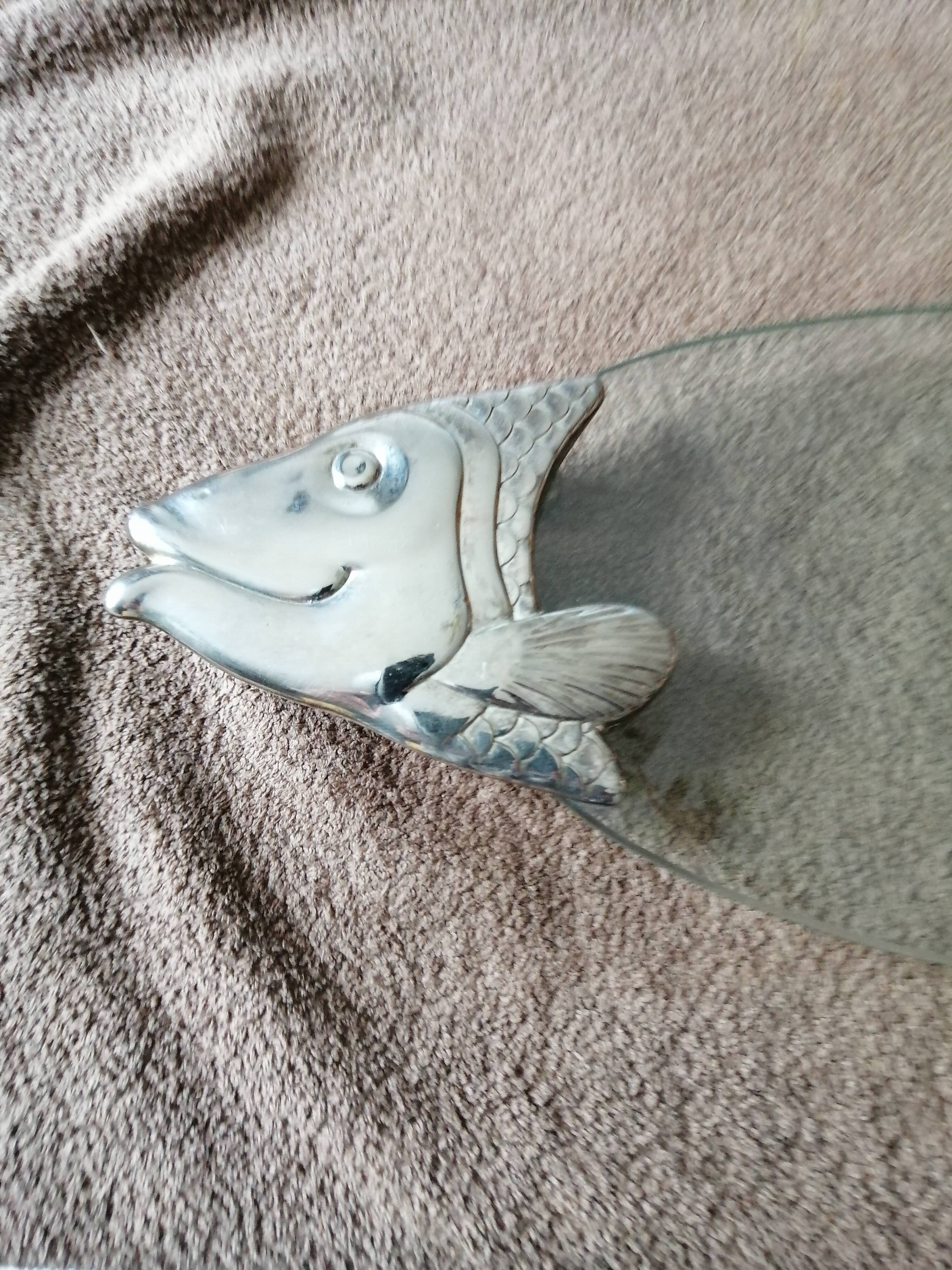 Serving plate for salmon fish dish silver plate and thick glass tray