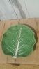 Vintage cabbage slipware plate