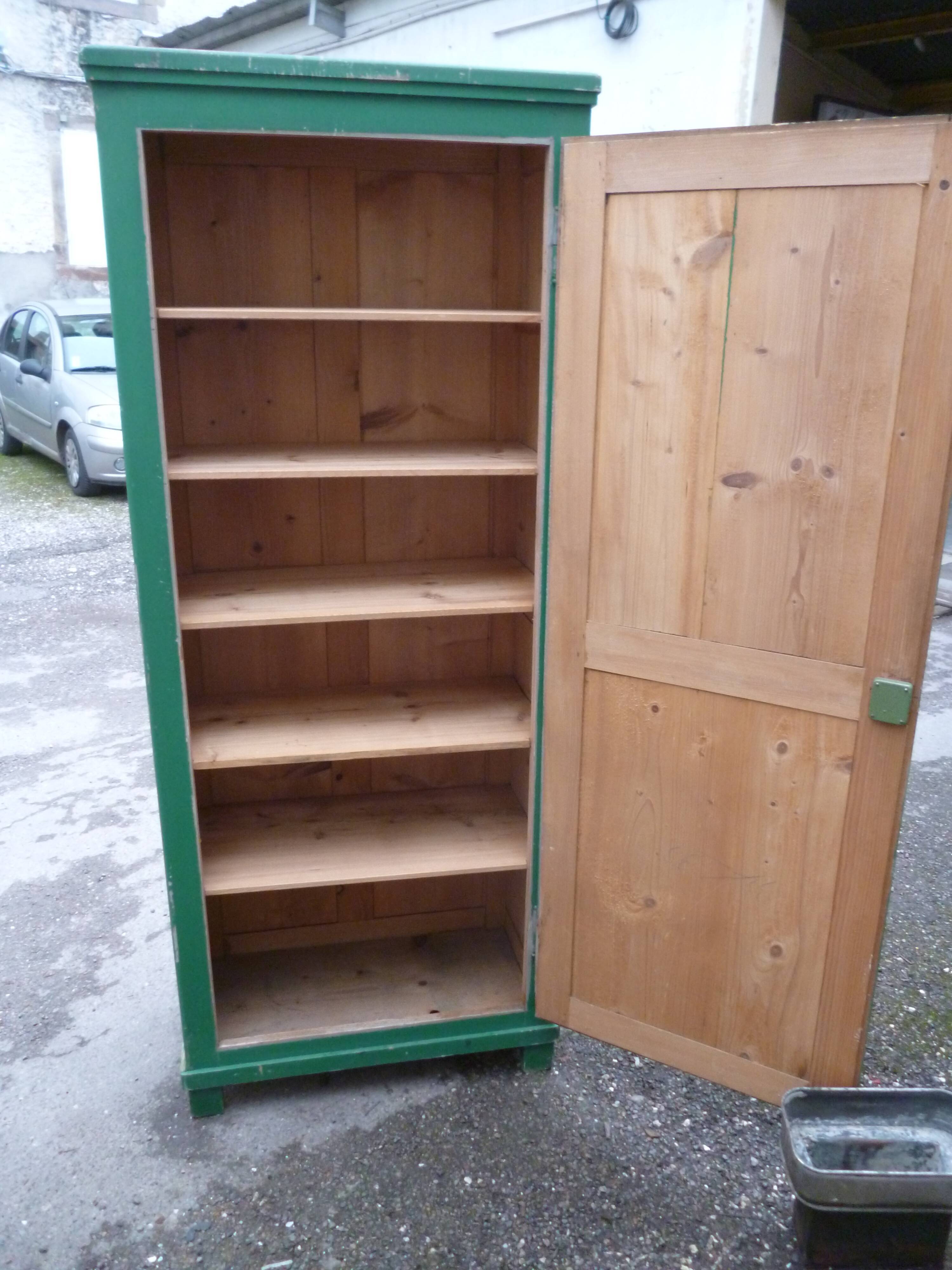 Cabinet 1 door in old fir green patina