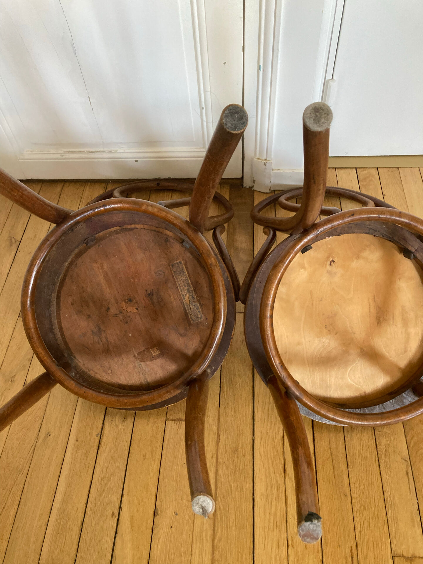 Chaises Jacob&Joseph Kohn