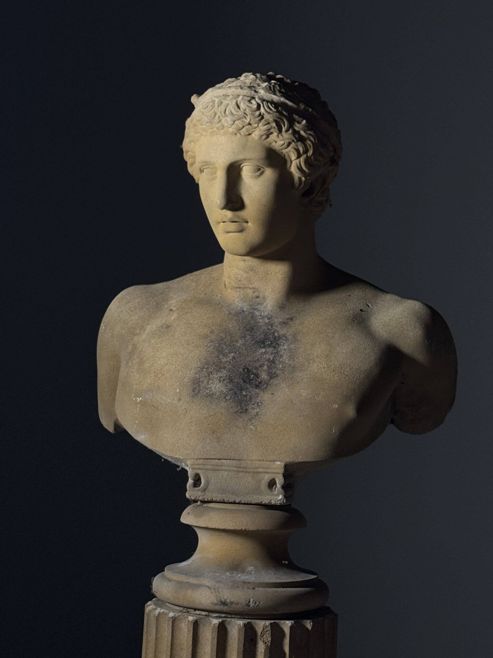 Bust on pedestal 20th century Antinous