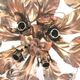 Floral metal ceiling lamp design MM Lampadari 70s