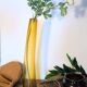 Curved bubble vase