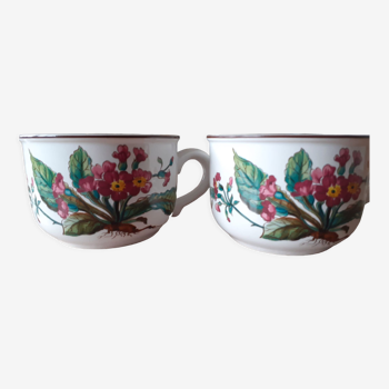 2 Villeroy & Boch porcelain tea cups