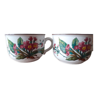 2 tasses à thé en porcelaine Villeroy & Boch