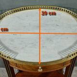 Mahogany Coffee Table, Louis XVI Style – Early 20th Century