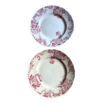 "Snowball" plates in ironstone by Amand and Hamage