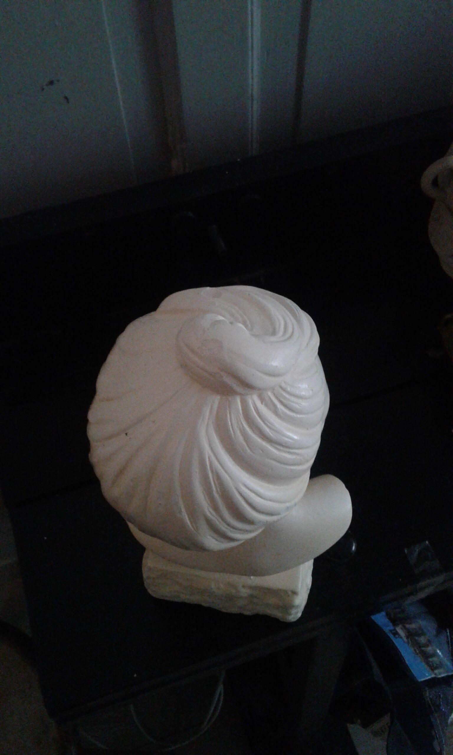 Plaster bust