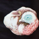 🔎 Jung Koch Quentell school poster "chicken" 1971