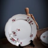 5 flat plates Iron Earth