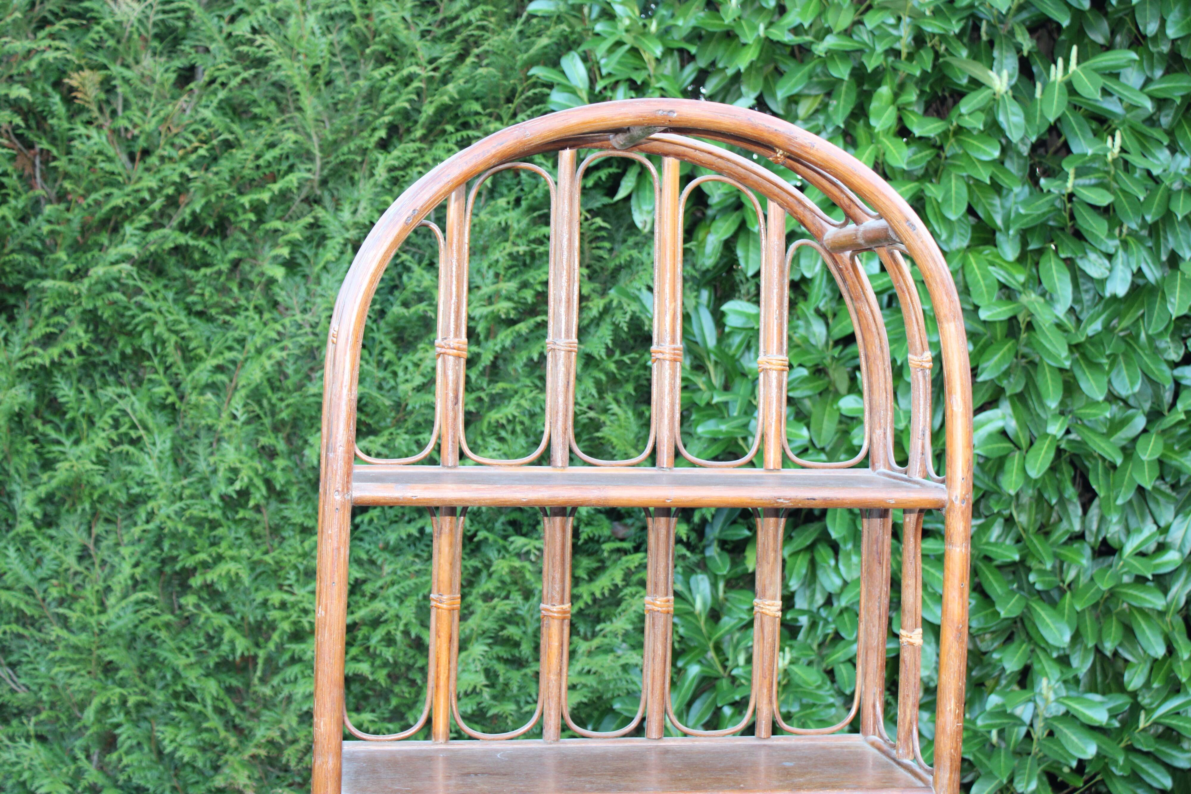 Rattan library