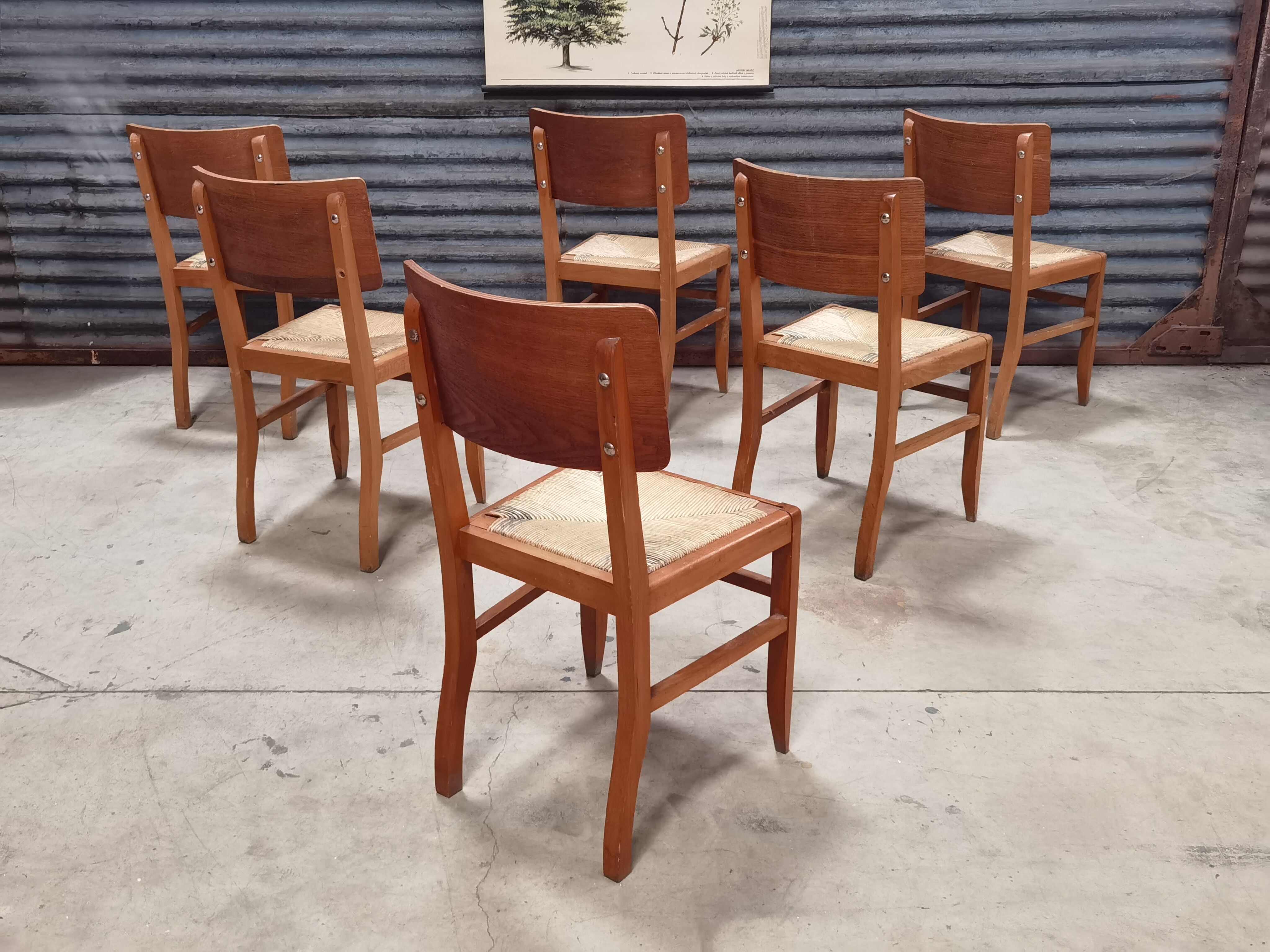 Set of 6 chairs straw wood reconstruction