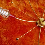 Lunel ceiling 1950-60