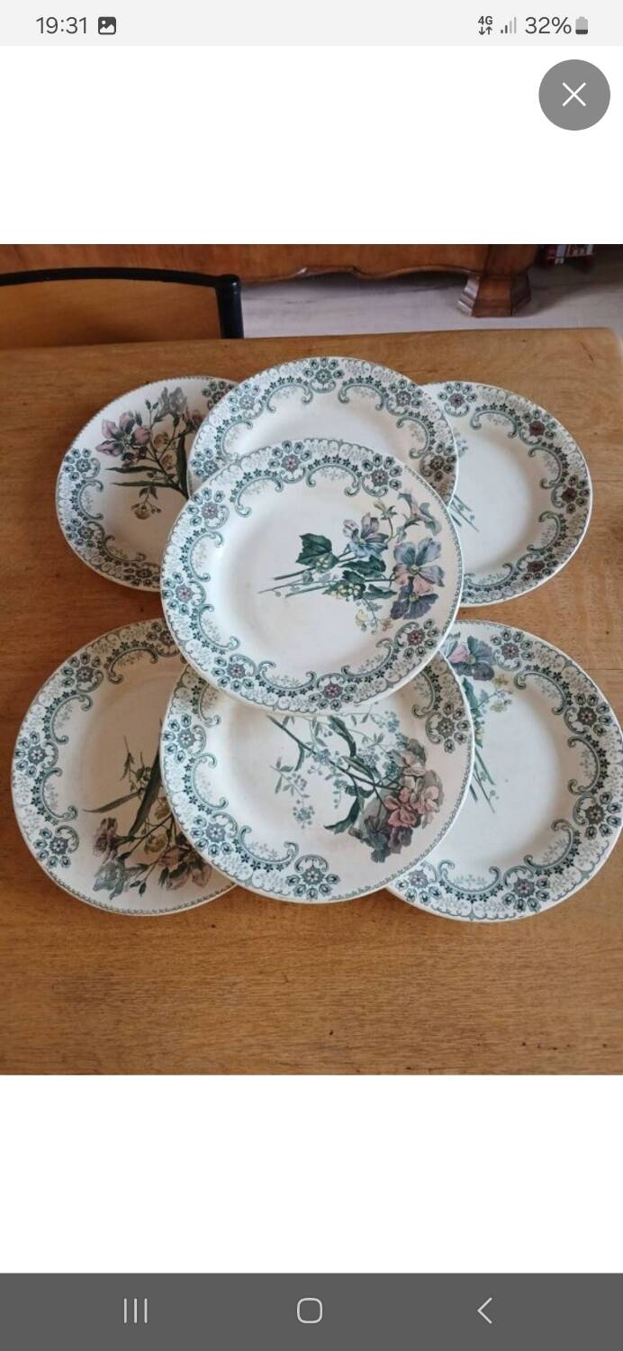 7 old flat plates Terre de fer