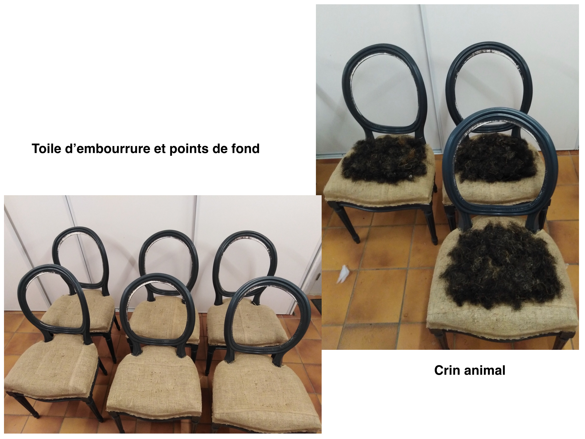 6 old medallion chairs fully restored