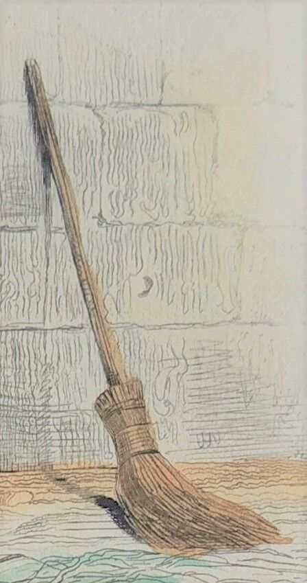 Original zoological plank "Indian Pig - Mole - Hedgehog " Buffon 1840