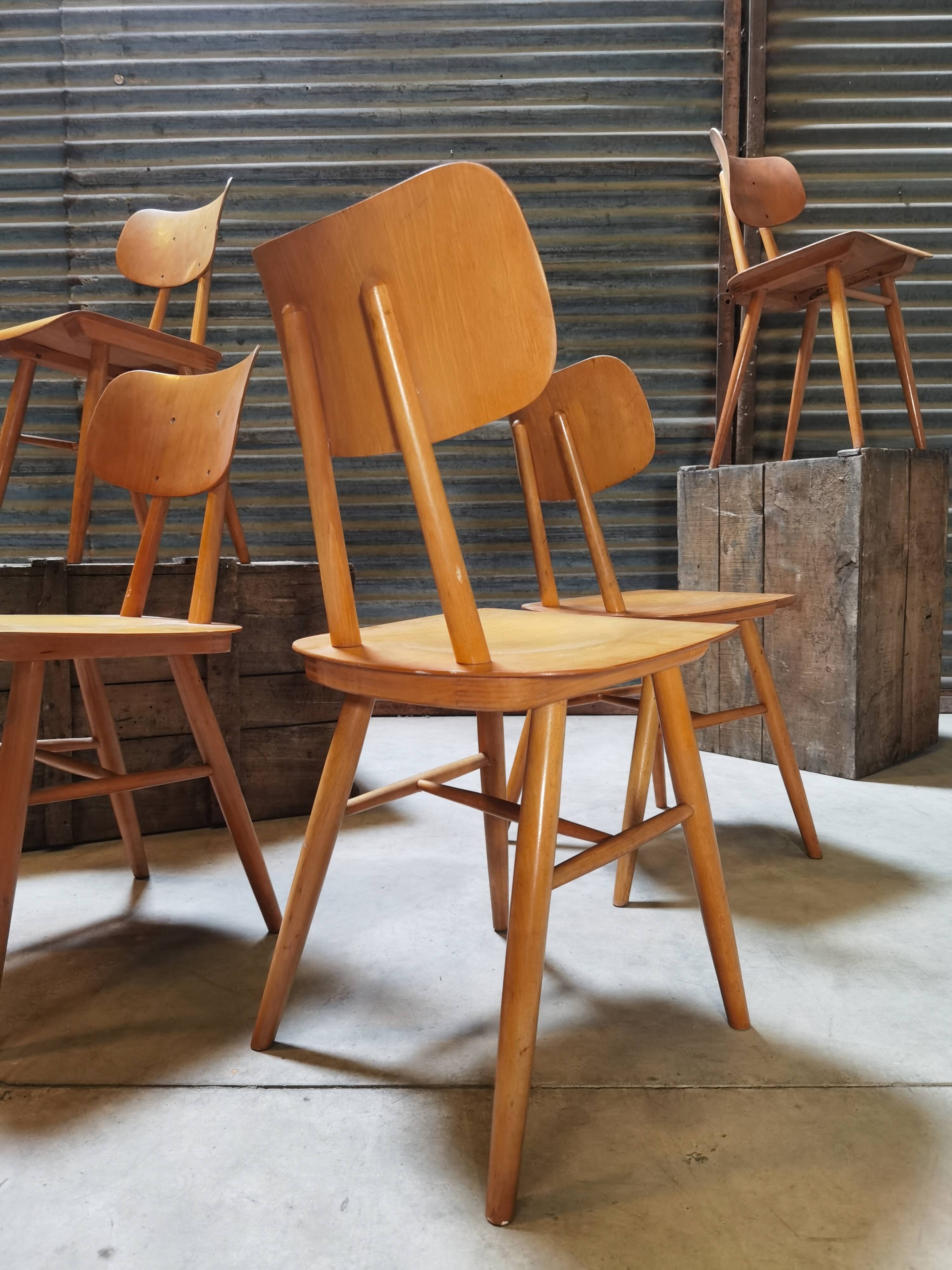 Set of 5 all-wood chairs published by Ton 1960