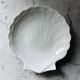 Porcelain shell plate