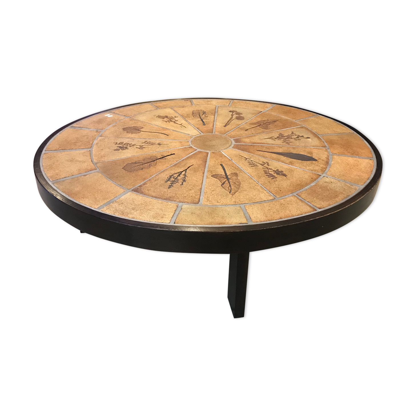 Vintage coffee table CAPRON herbarium