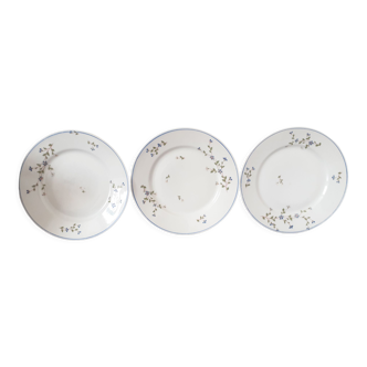 Plates decorations barbeaux