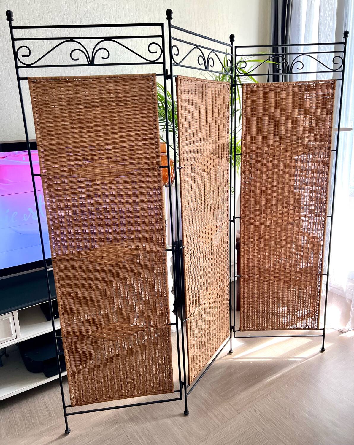 Wrought Iron and Rattan Screen