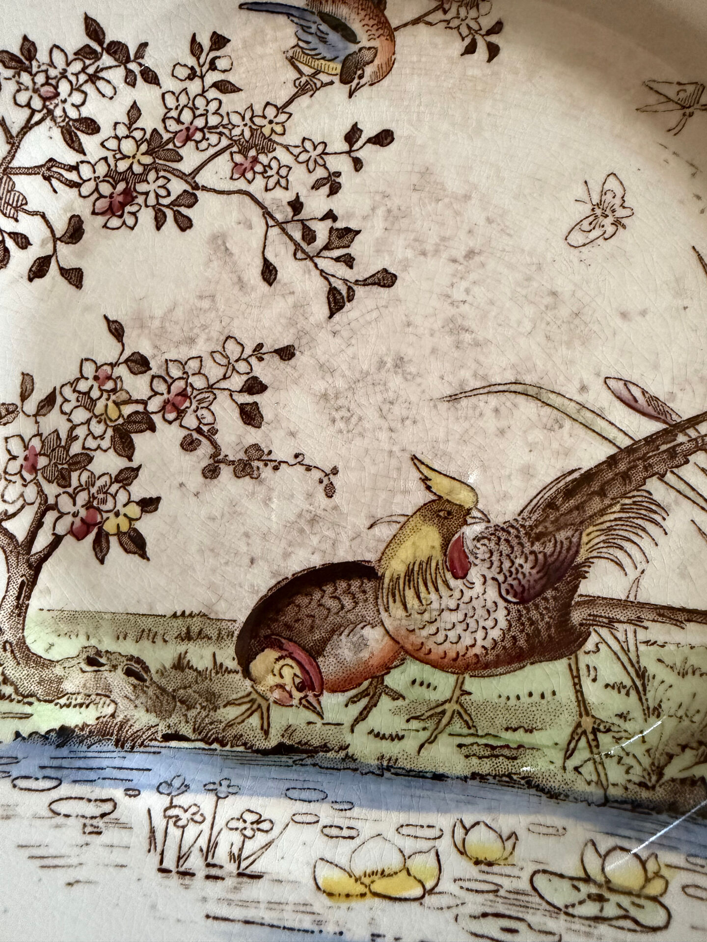 Polychrome ironstone dessert plates from Digoin and Sarreguemines.