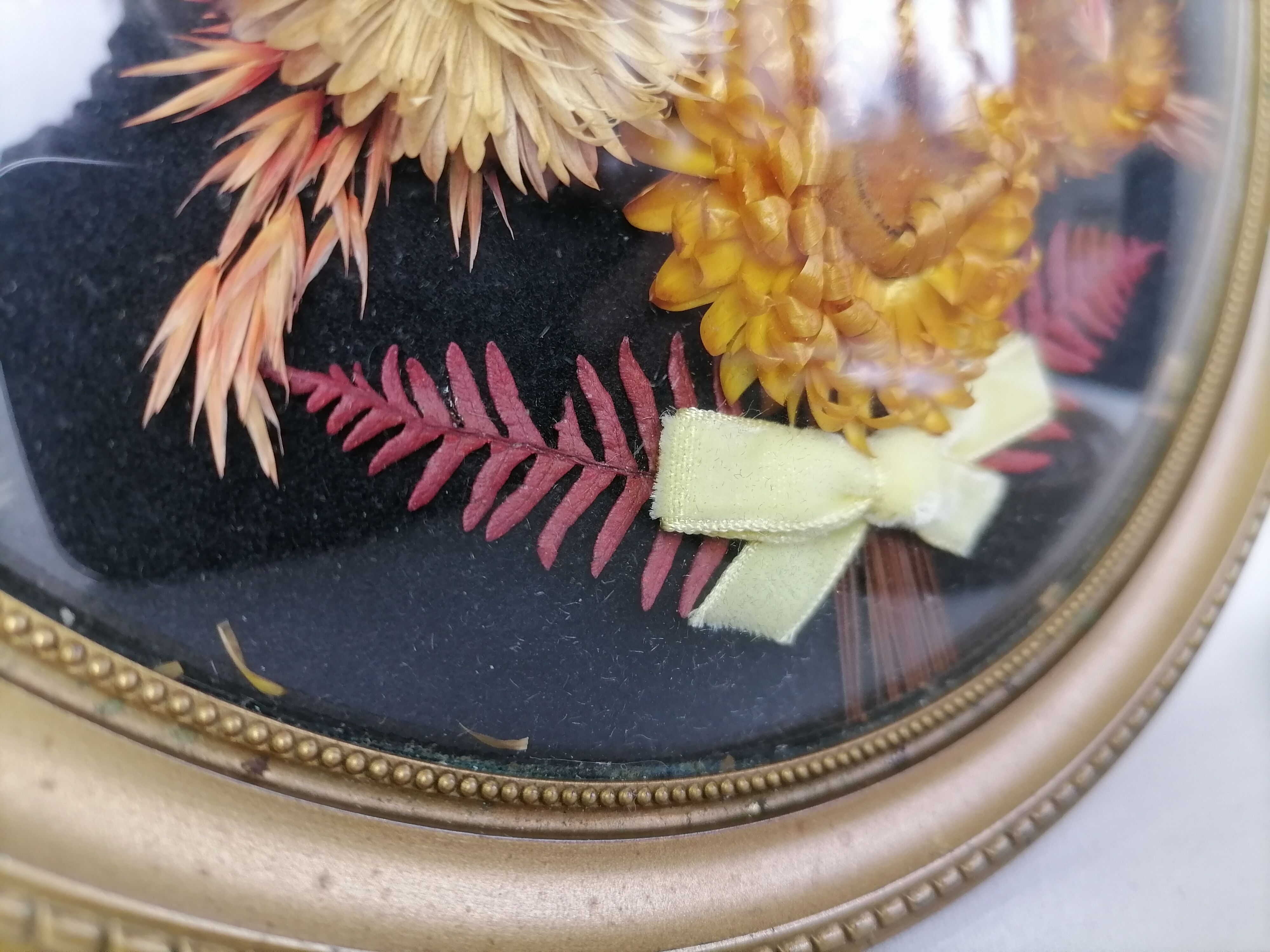 Dried flowers under curved glass frame