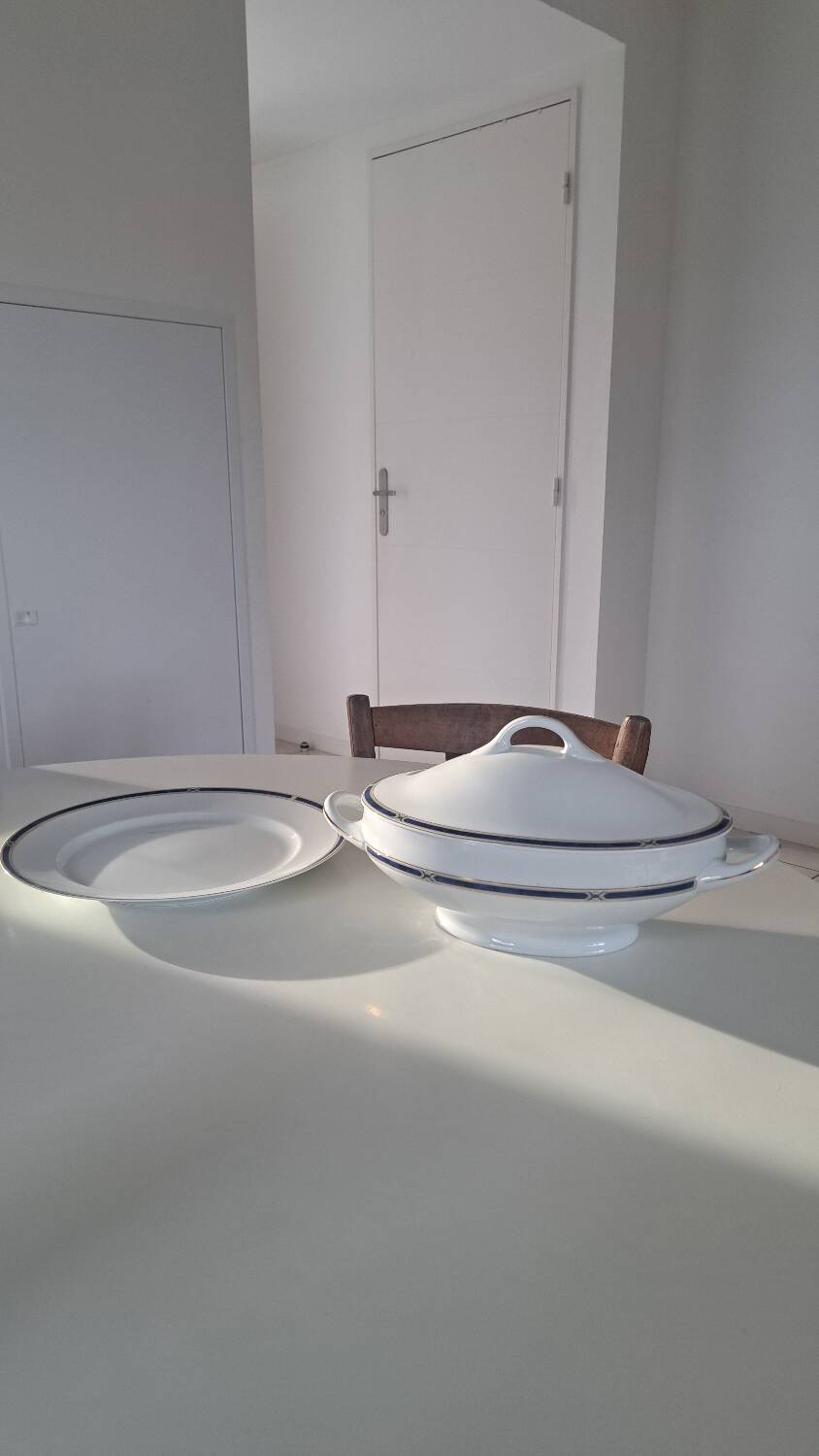 Soup tureen + Haviland plate