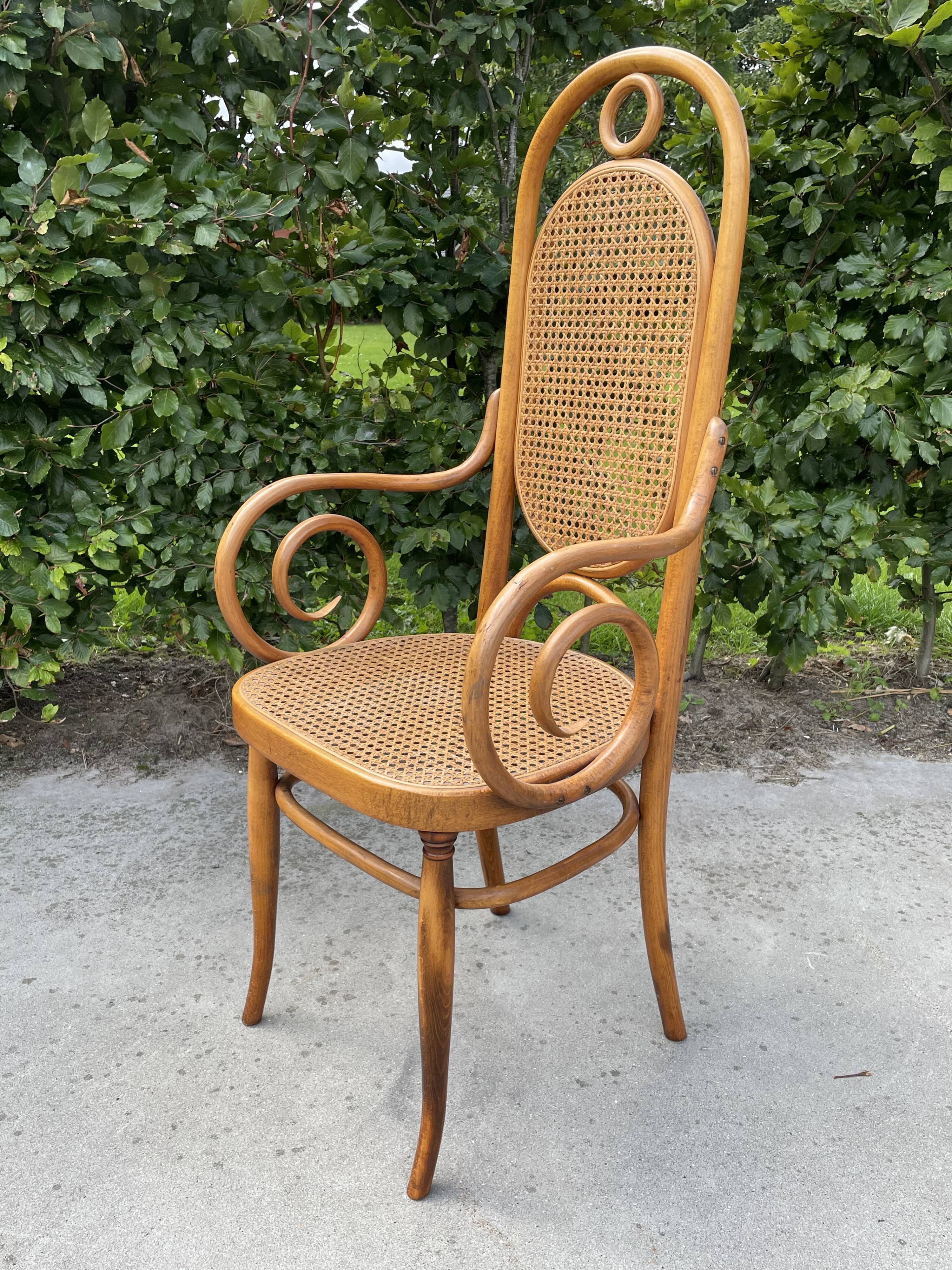 Sculptural bendwood side chair model