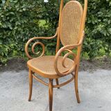 Sculptural bendwood side chair model