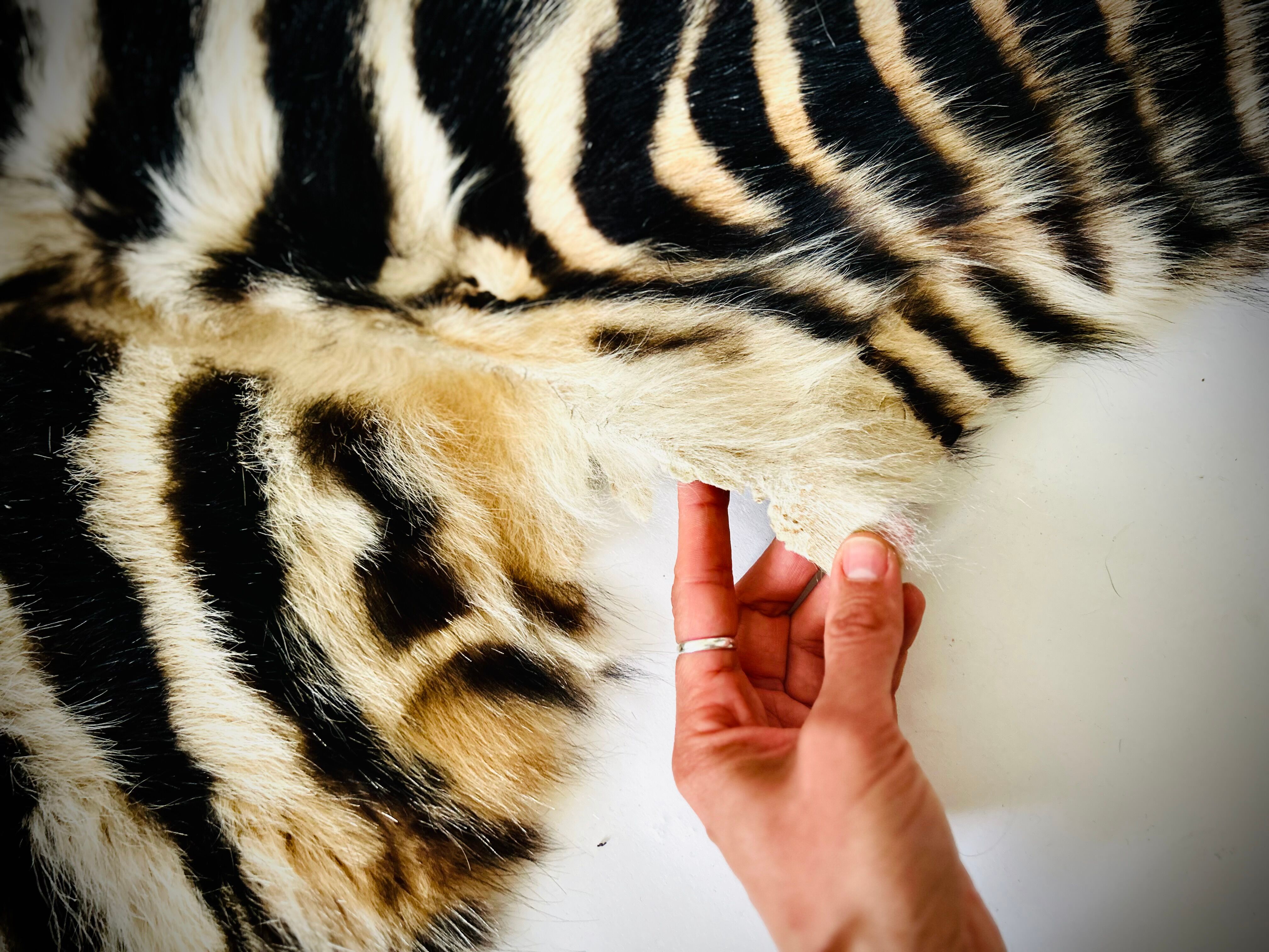 Authentic vintage zebra skin