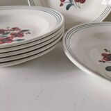 7 Salins Odile soup plates – raspberry flowers & blue border