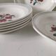 7 Salins Odile soup plates – raspberry flowers & blue border