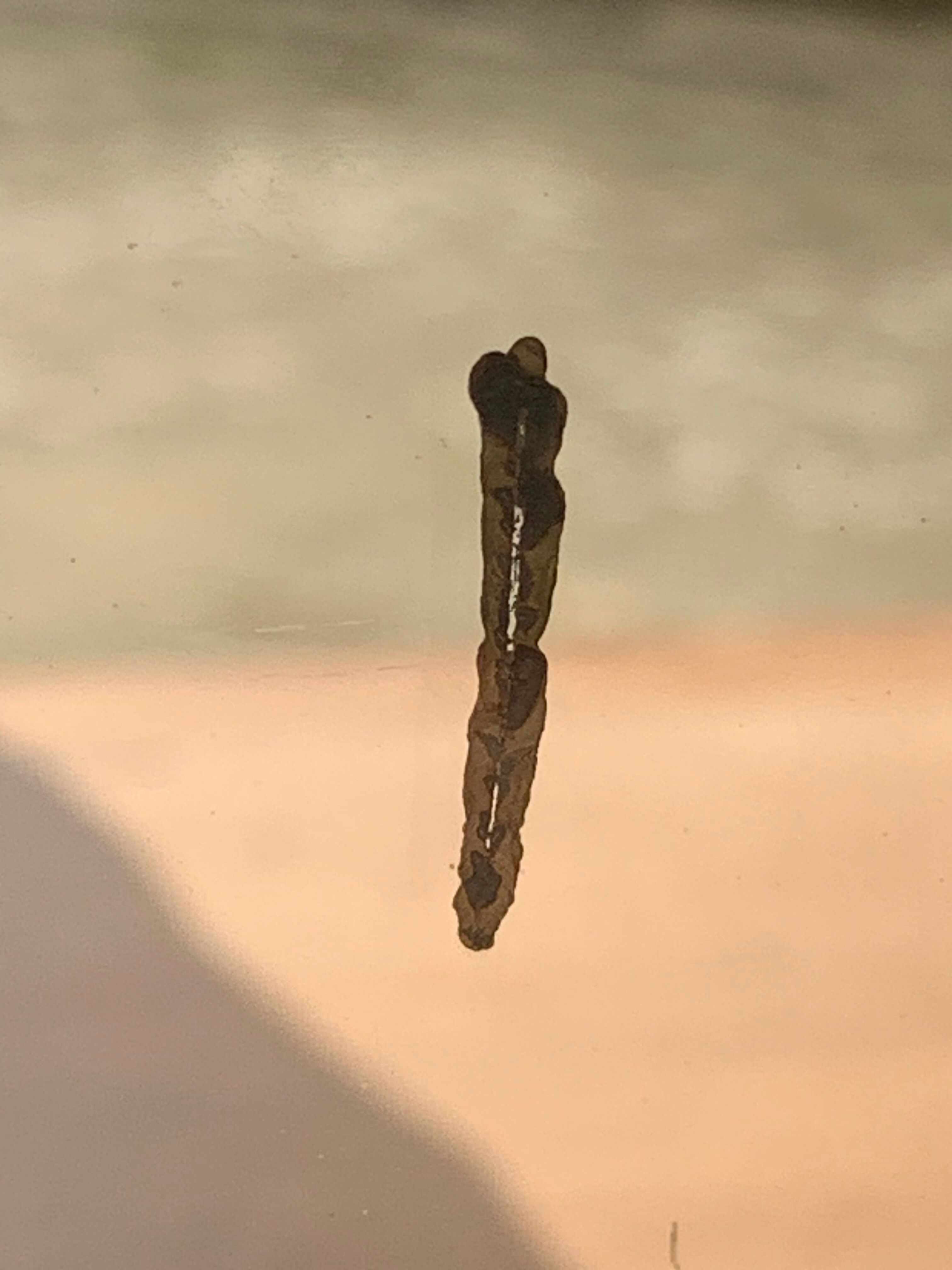 Art Deco Parisian Buffet 1930