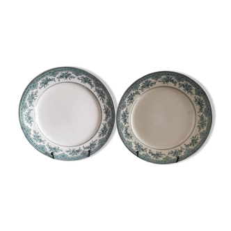 2 Moss Roses flat plates