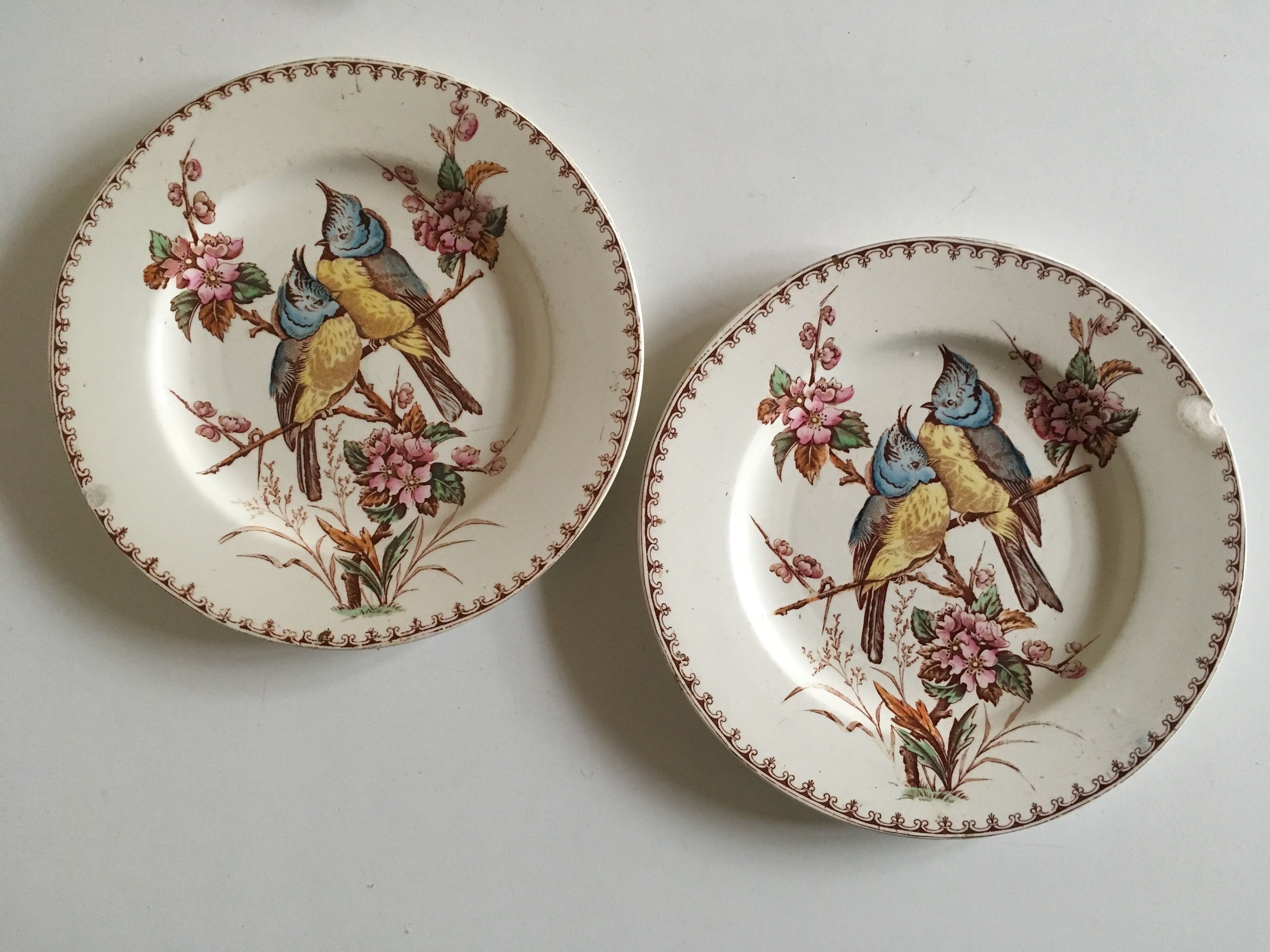 Pair of bird plates in iron earth Lunéville chickadee