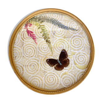 Vintage butterfly tray