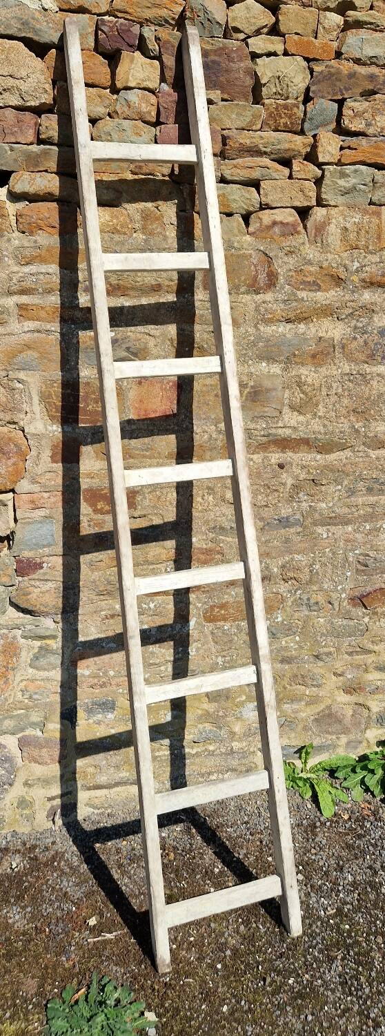 Wooden ladder