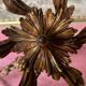 Lustre bronze doré 6 bougies annees 100