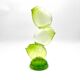 Cactus Vase Sculptural - Murano - Bullicante Glass - Vibrant Green