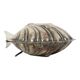 Silver-Plated Shell Butter Dish Caviar Holder Made in England