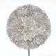 Mother-of-pearl floor lamp by Rausch, Germany, 1960s.
