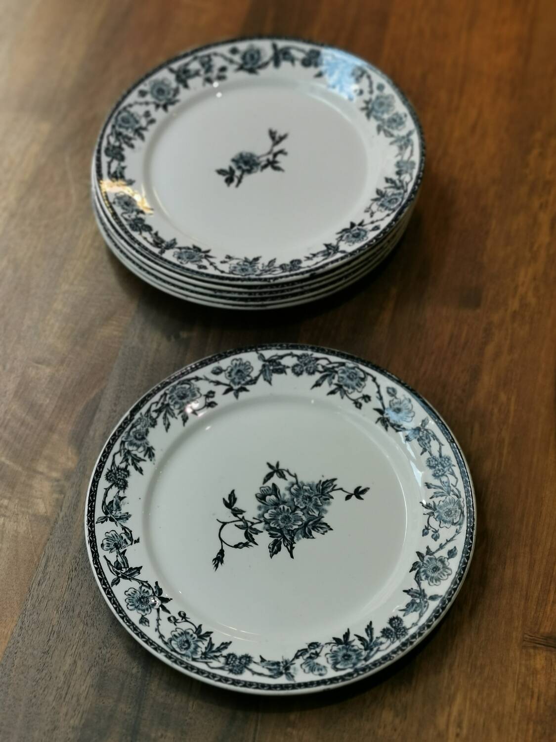 6 Pexonne "Paquerette" flat plates