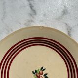 7 gien plates