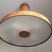 Lustre suspendu, placage racine de bouleau
