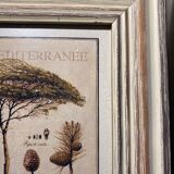 Two botanical paintings, lavender and Mediterranean pines